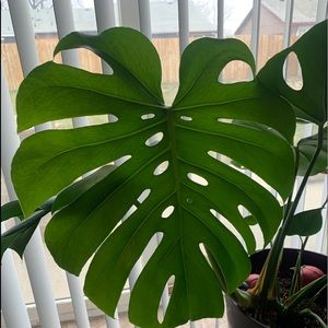 Meet your Posher, Bethany